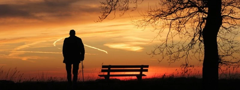 LA VEJEZ Y SUS DESTINOS